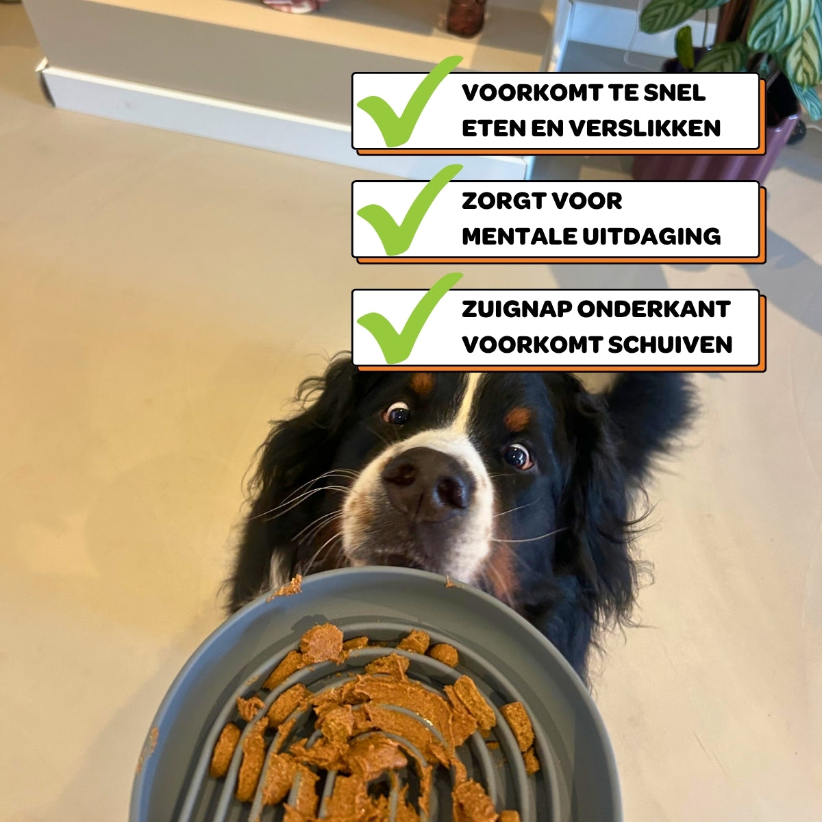 Anti-Schrokbak Enkele Regenboog