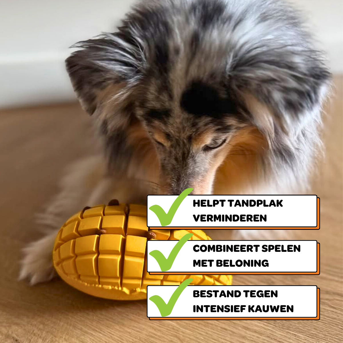 Max de Mango - Maat M/L