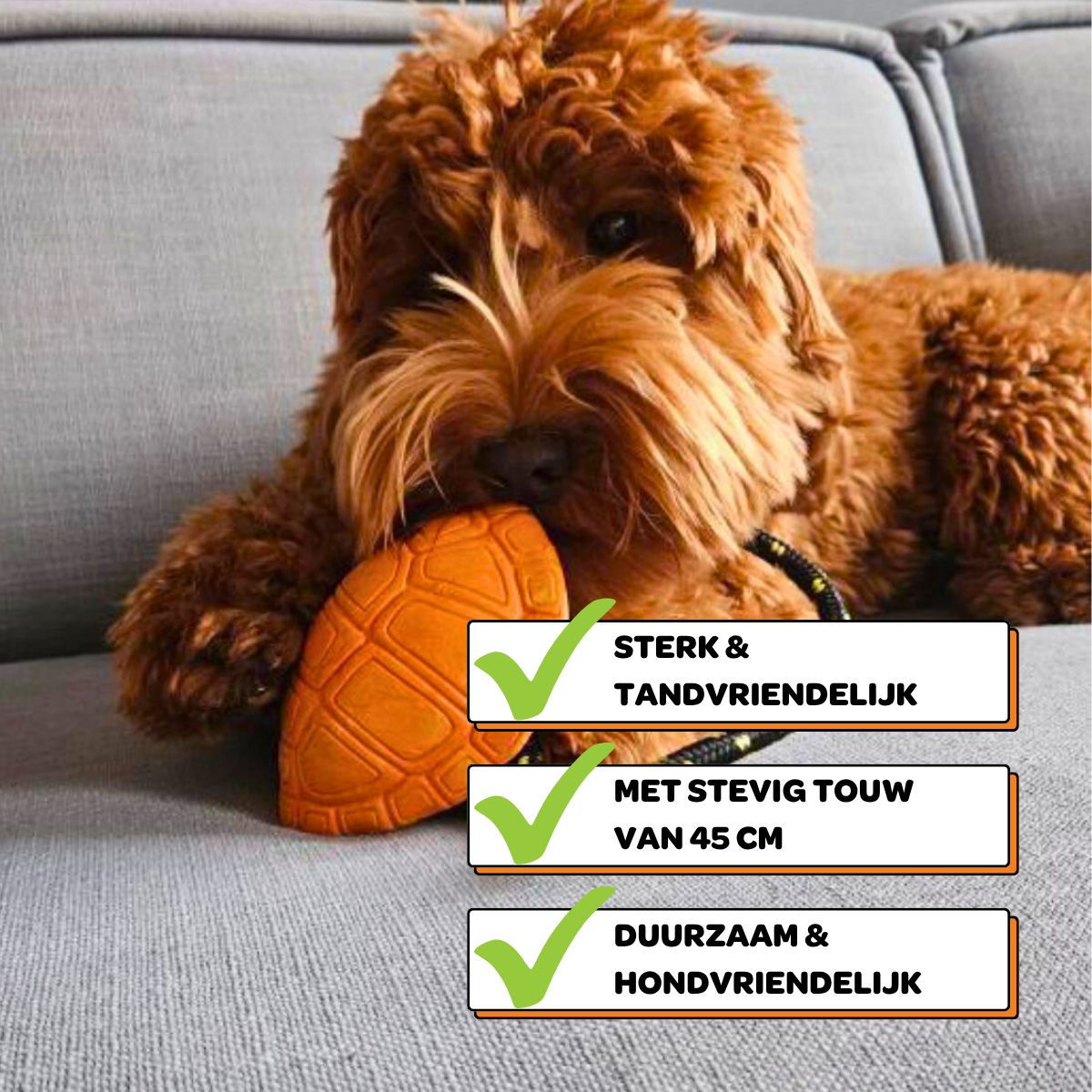 Michelangelo de Schildpad - Maat M