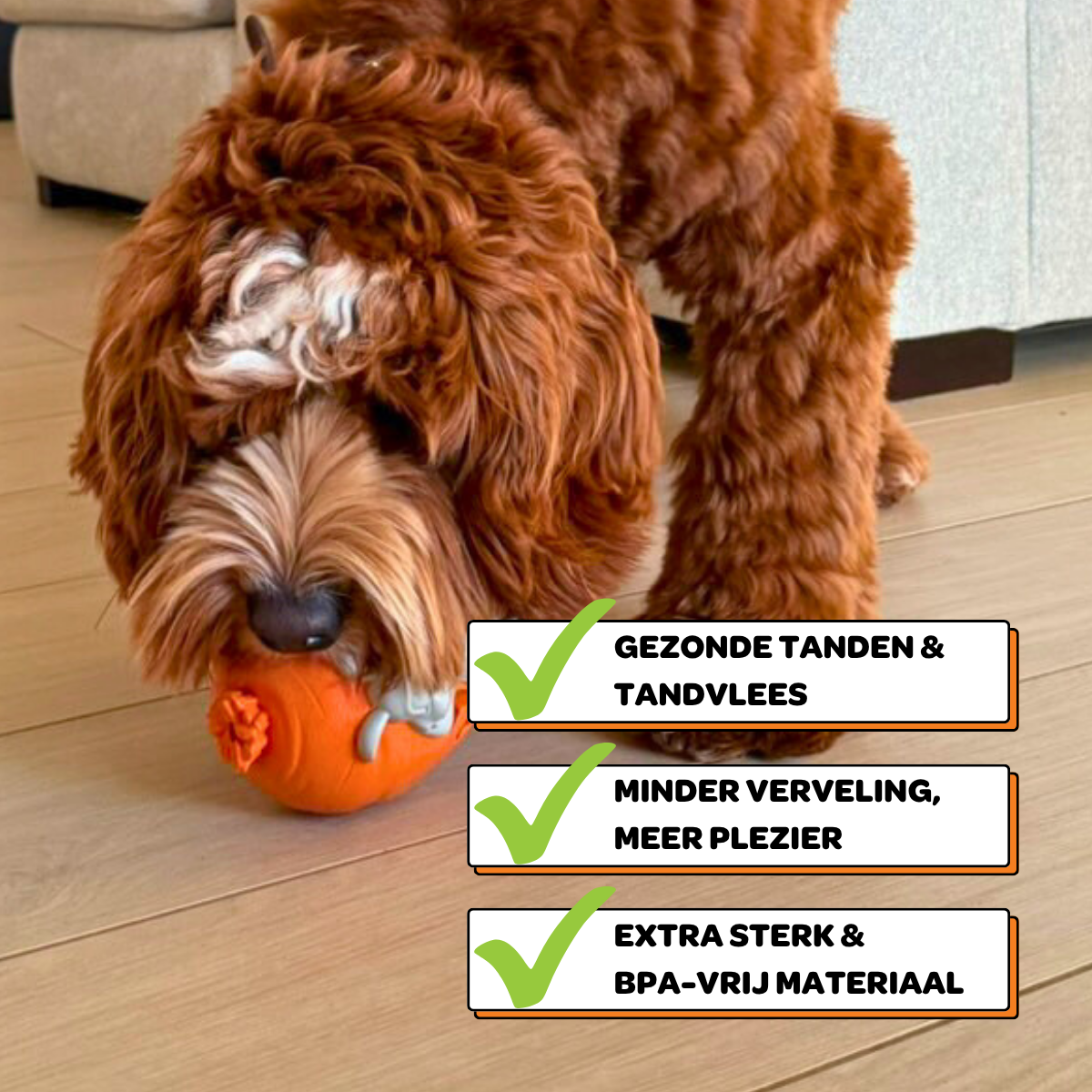 Rijn het Konijn - Maat L