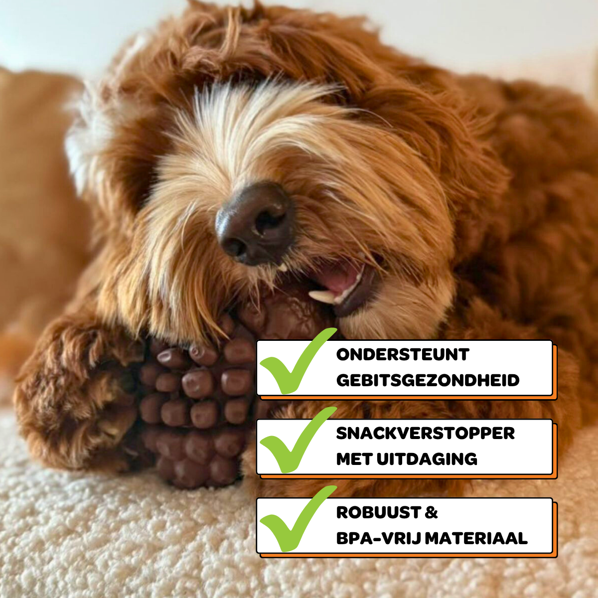 Maikel de Eikel - Maat M/L