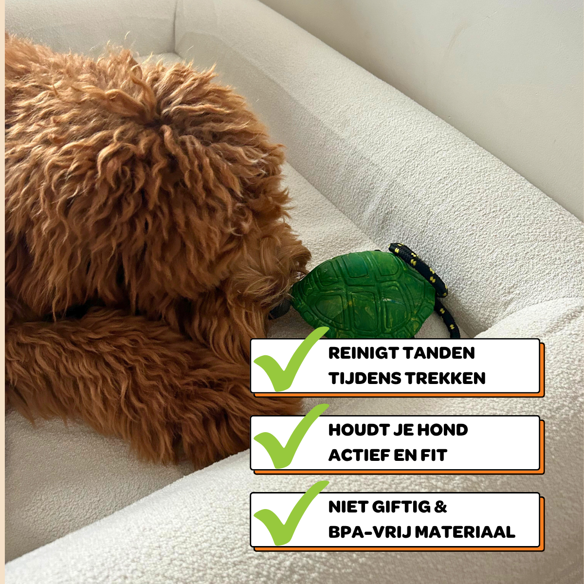 Franklin de Schildpad - Maat M