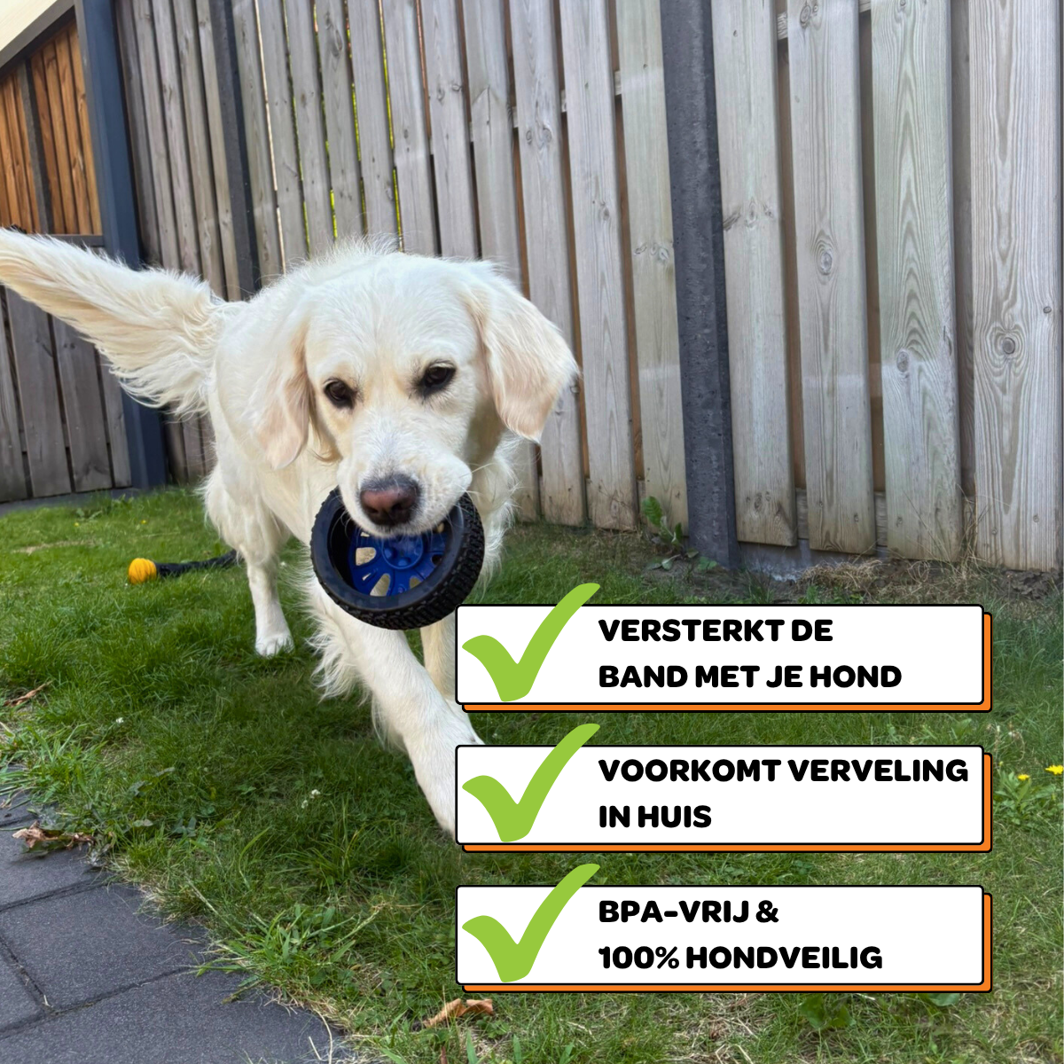 Walter het Wiel - Maat M/L