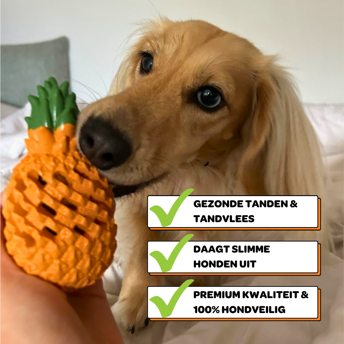 Anna de Ananas - Maat S