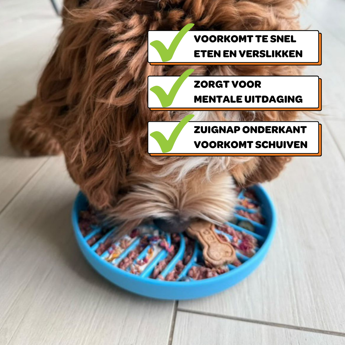 Anti-Schrokbak Dubbele Regenboog