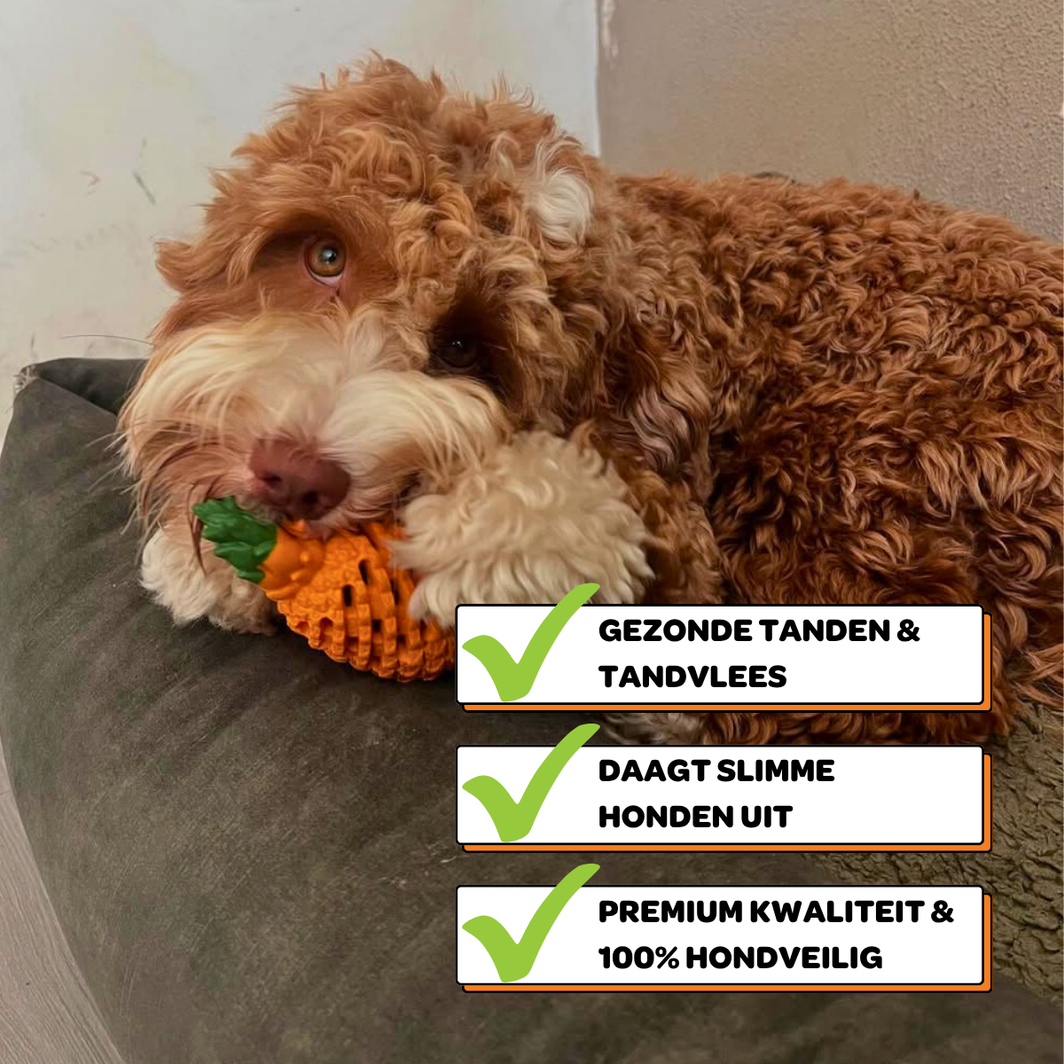 Anna de Ananas - Maat M