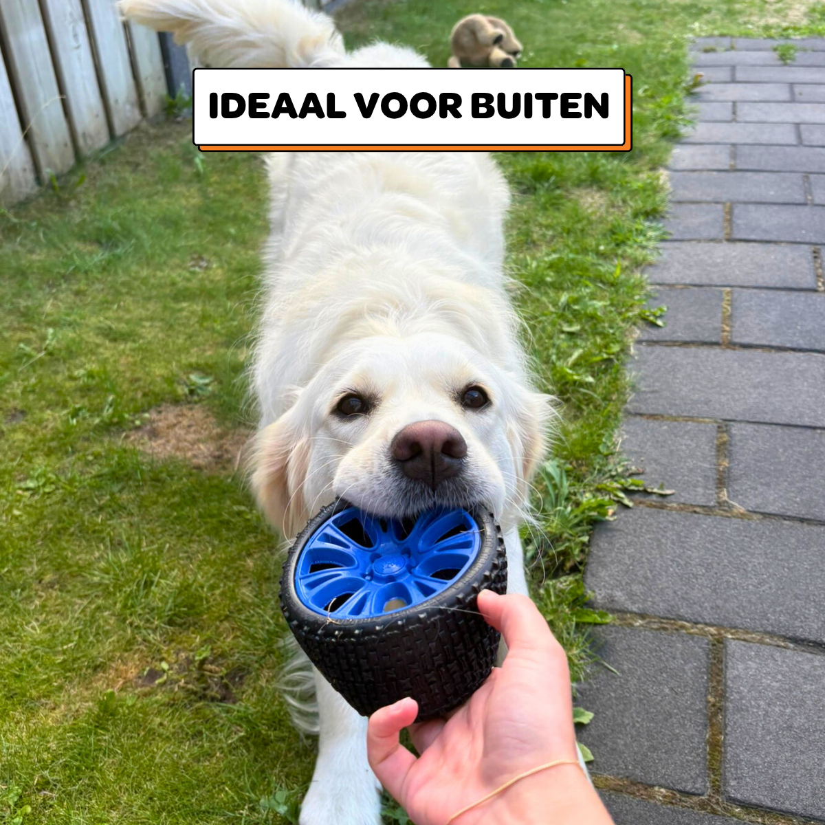 Walter het Wiel - Maat M/L