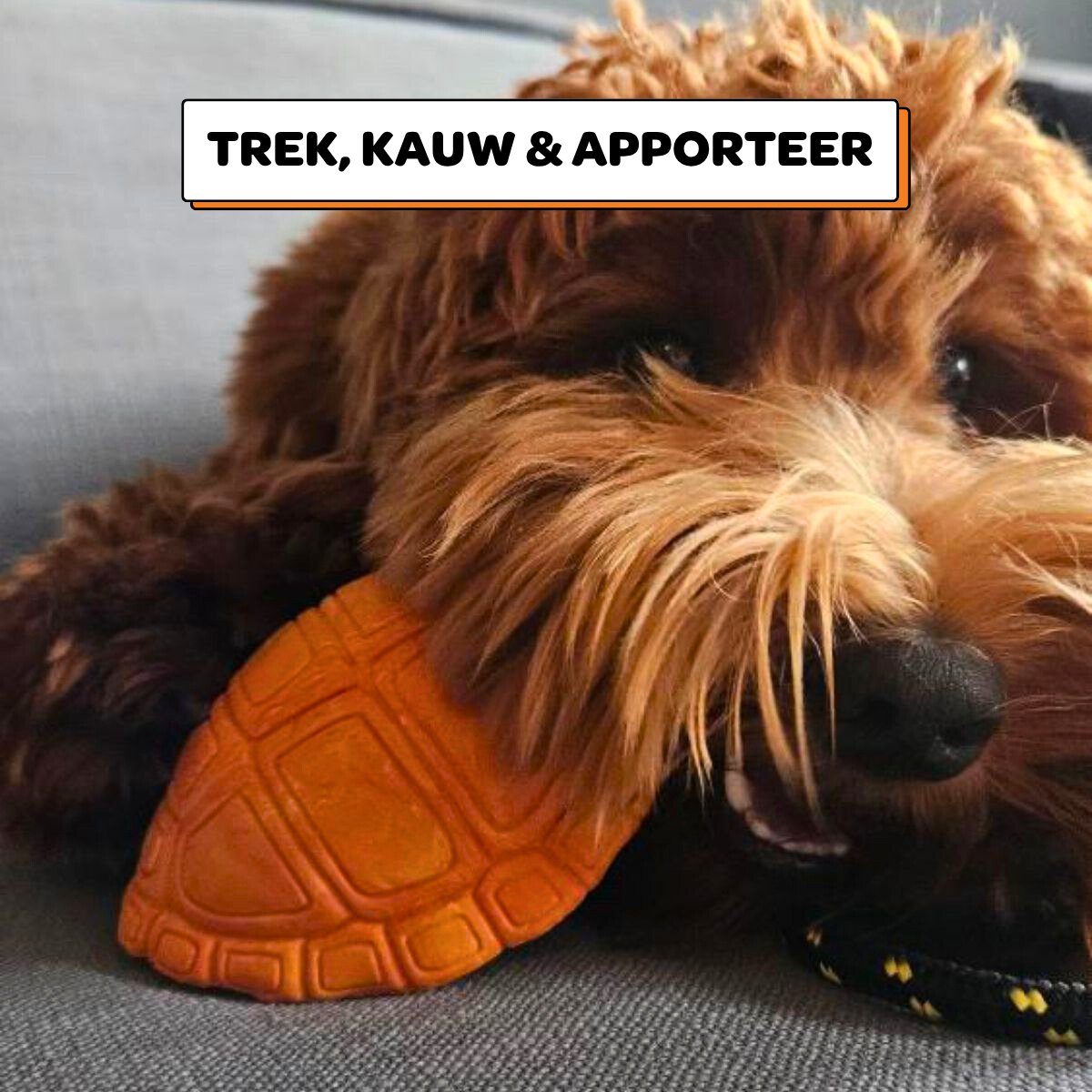 Michelangelo de Schildpad - Maat M