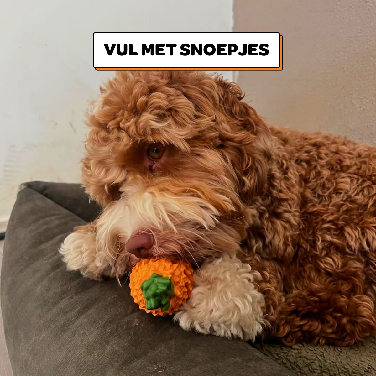 Anna de Ananas - Maat M