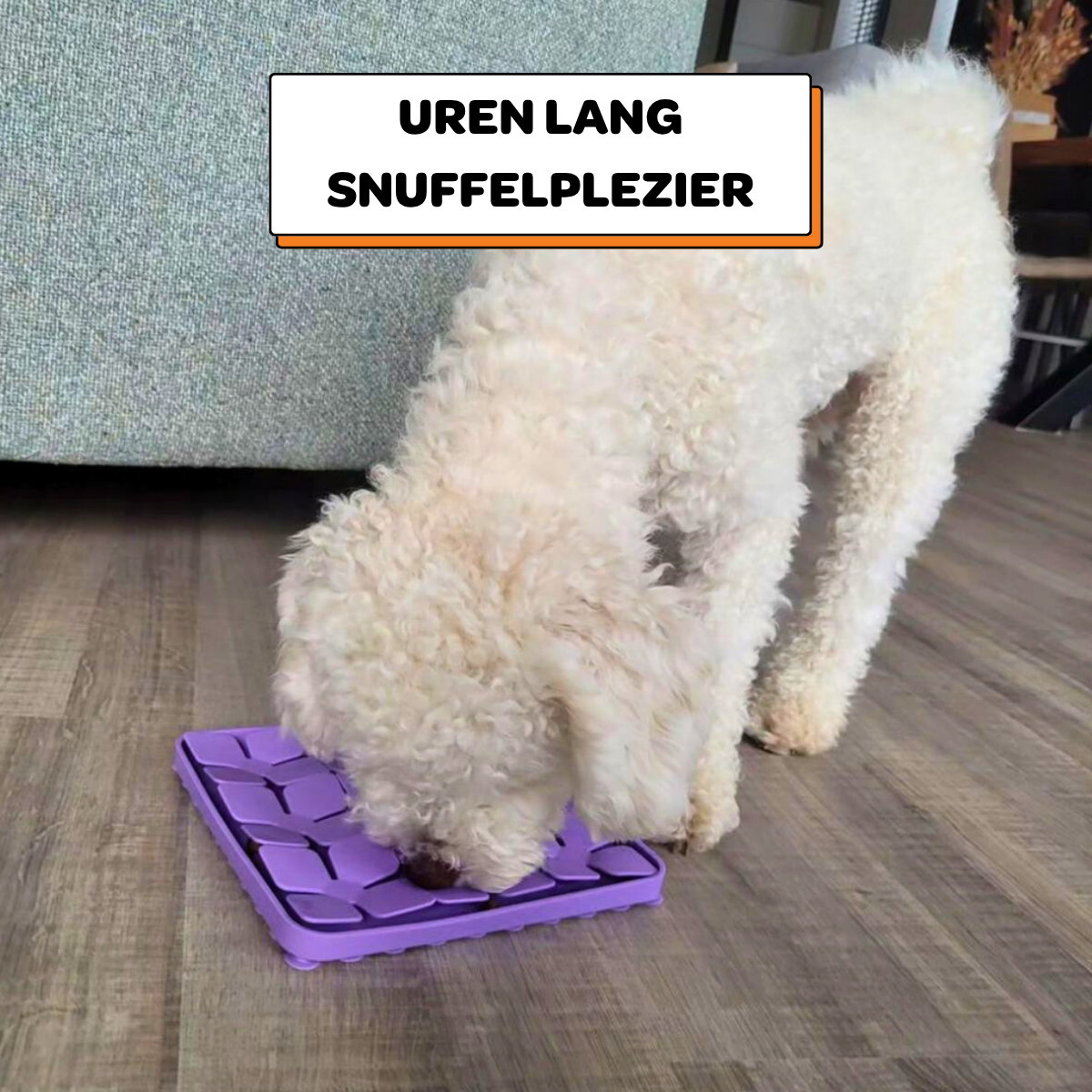 Snuffelmat Blaadjes