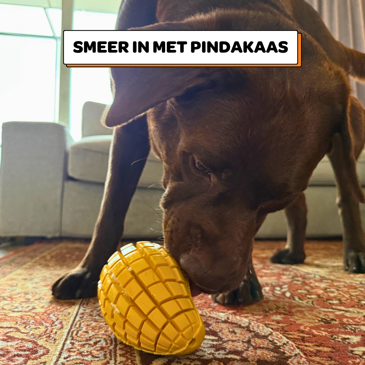 Max de Mango - Maat M/L