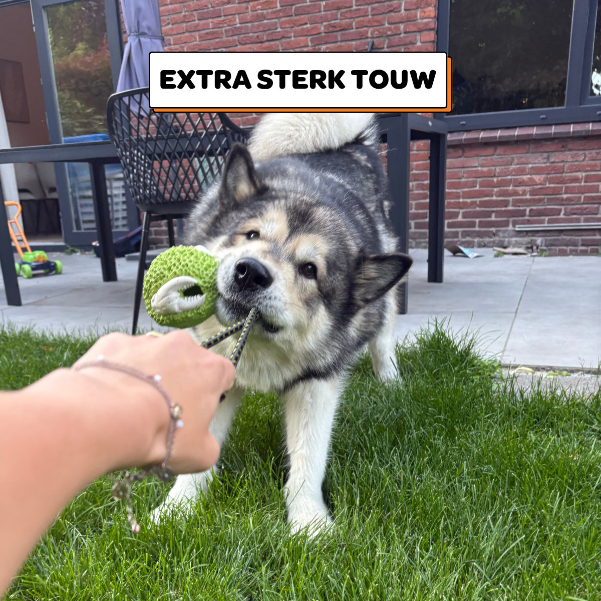 Octo het Koraalmonster - Maat L