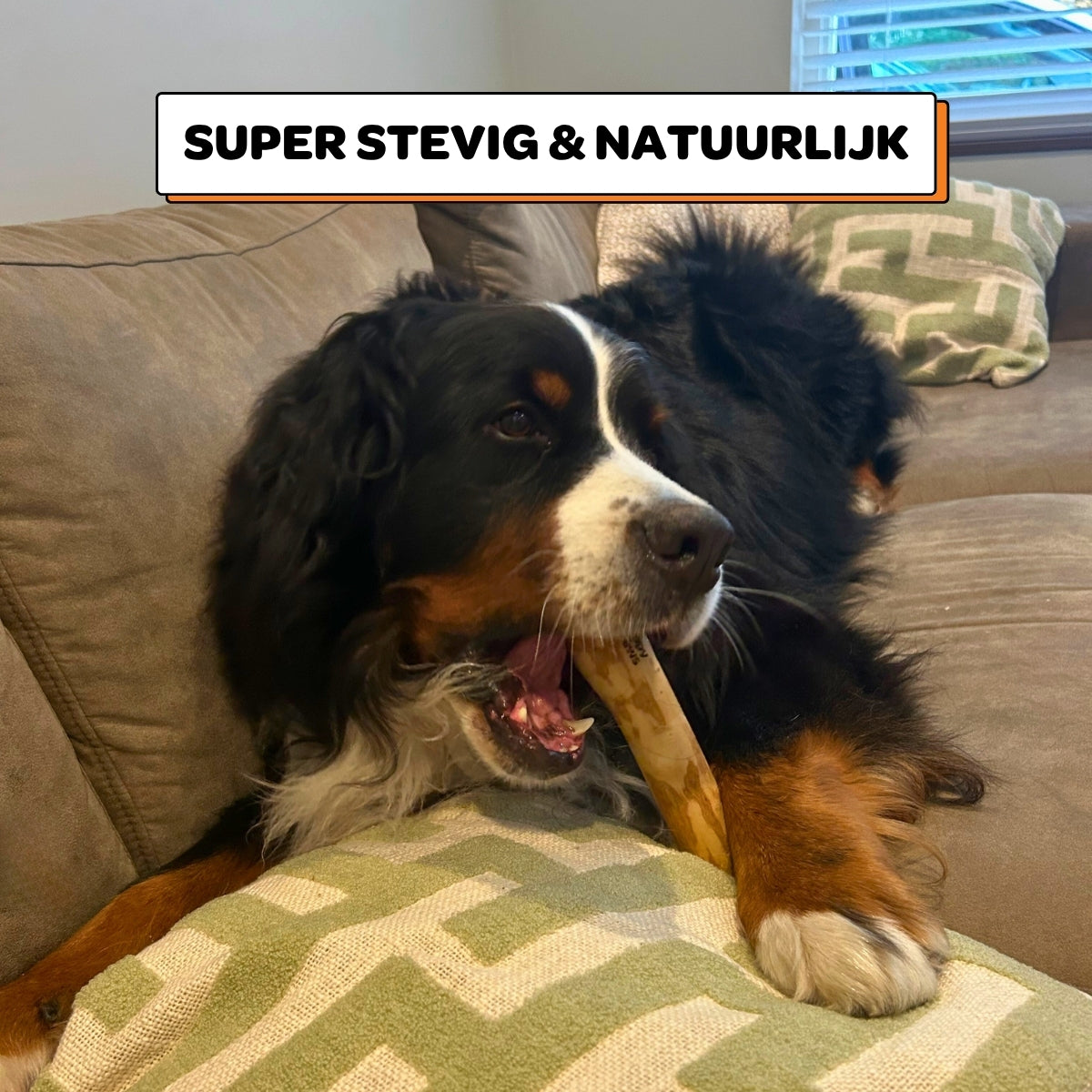 Koffiehouten Kauwstok - Maat L