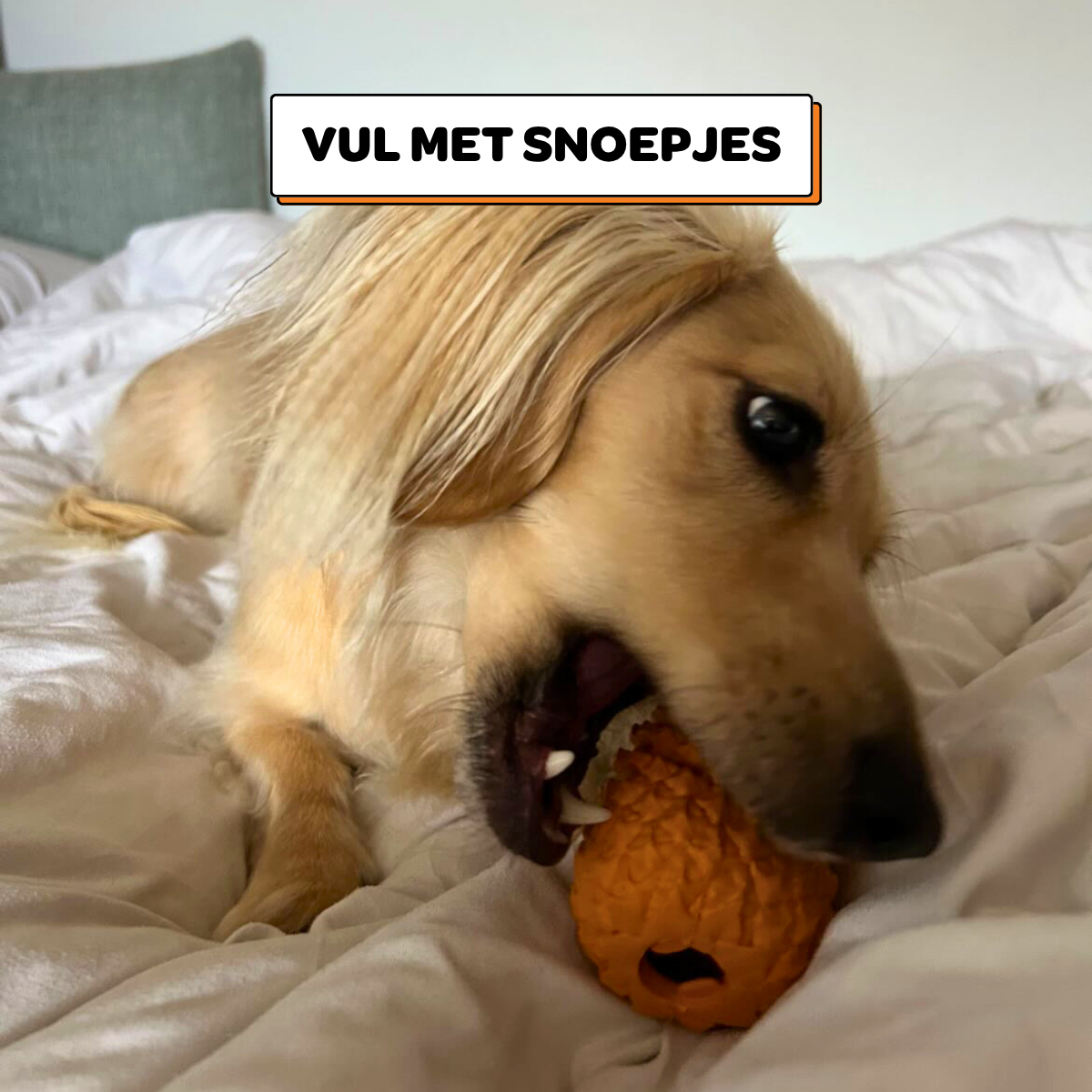 Anna de Ananas - Maat S