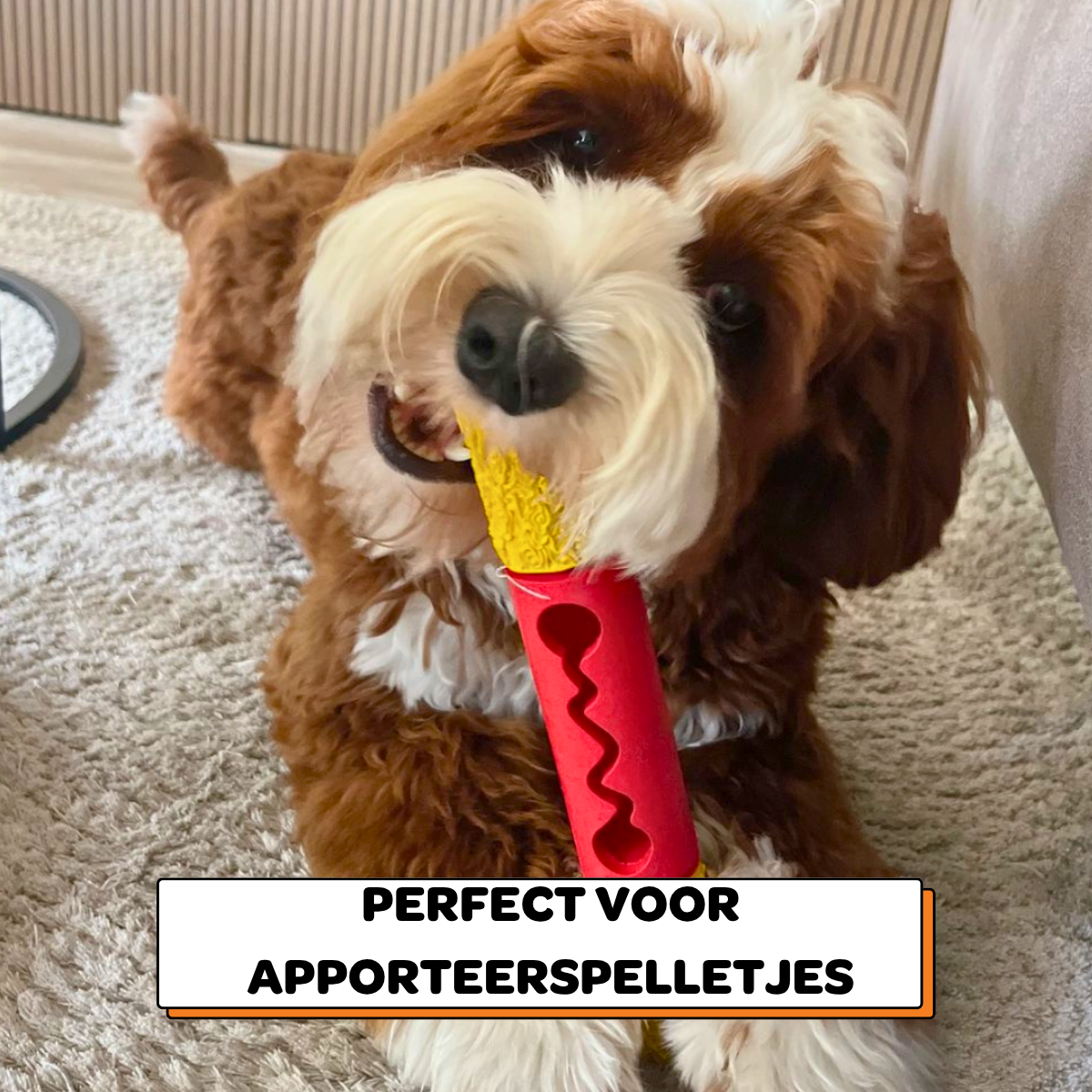 Stokkie de Stuntman - Maat M/L