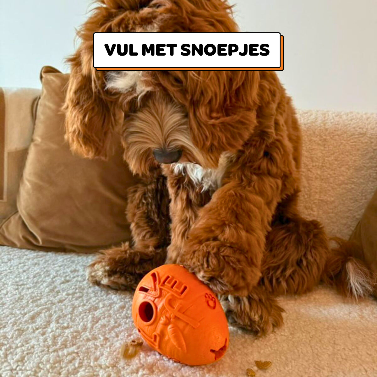 Rijn het Konijn - Maat L