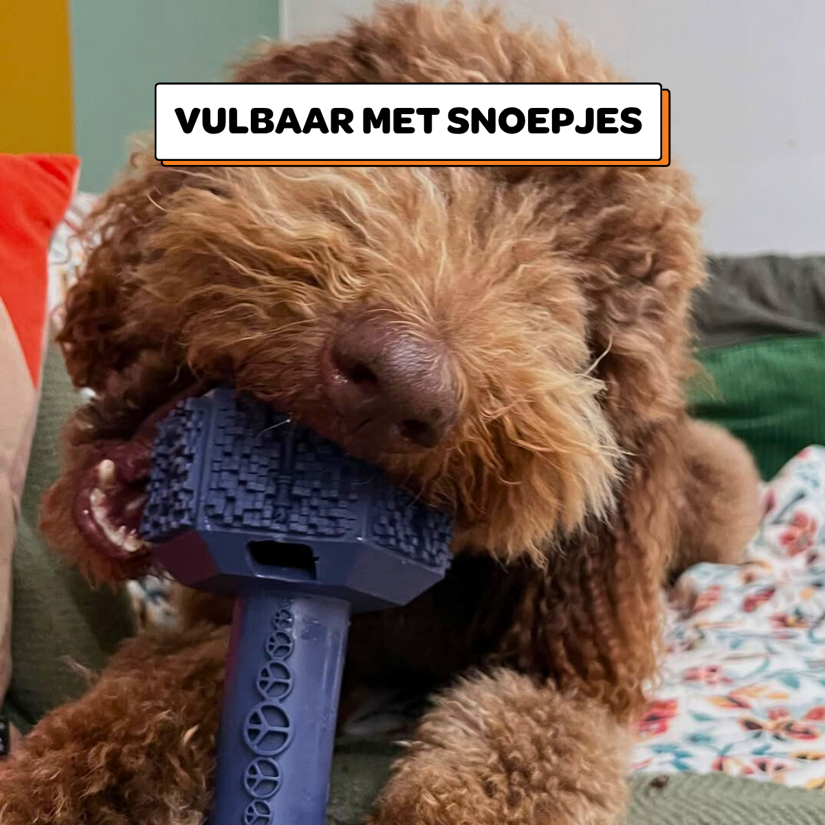 Arnold de Dumbbell - Maat L