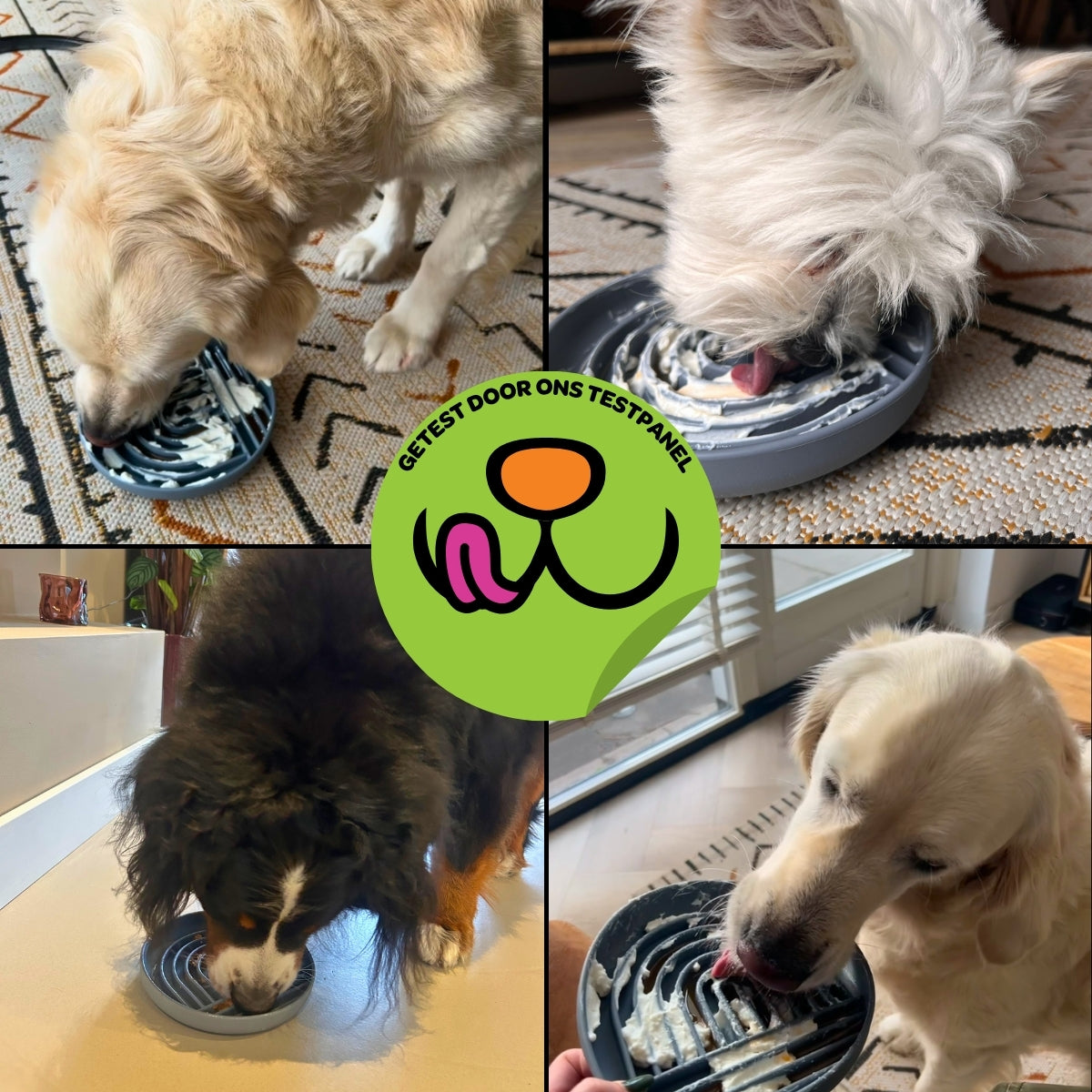 Anti-Schrokbak Enkele Regenboog