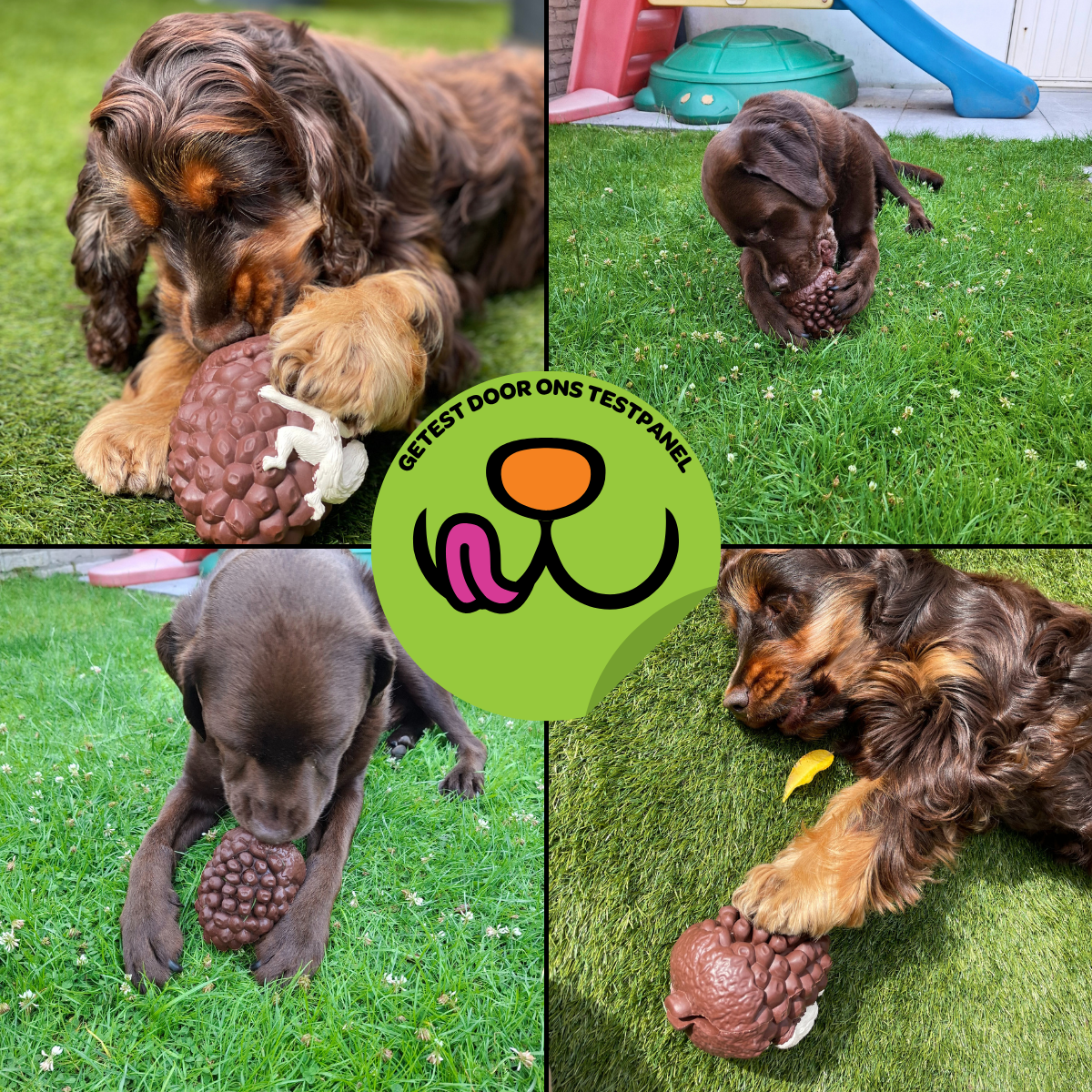 Maikel de Eikel - Maat M/L