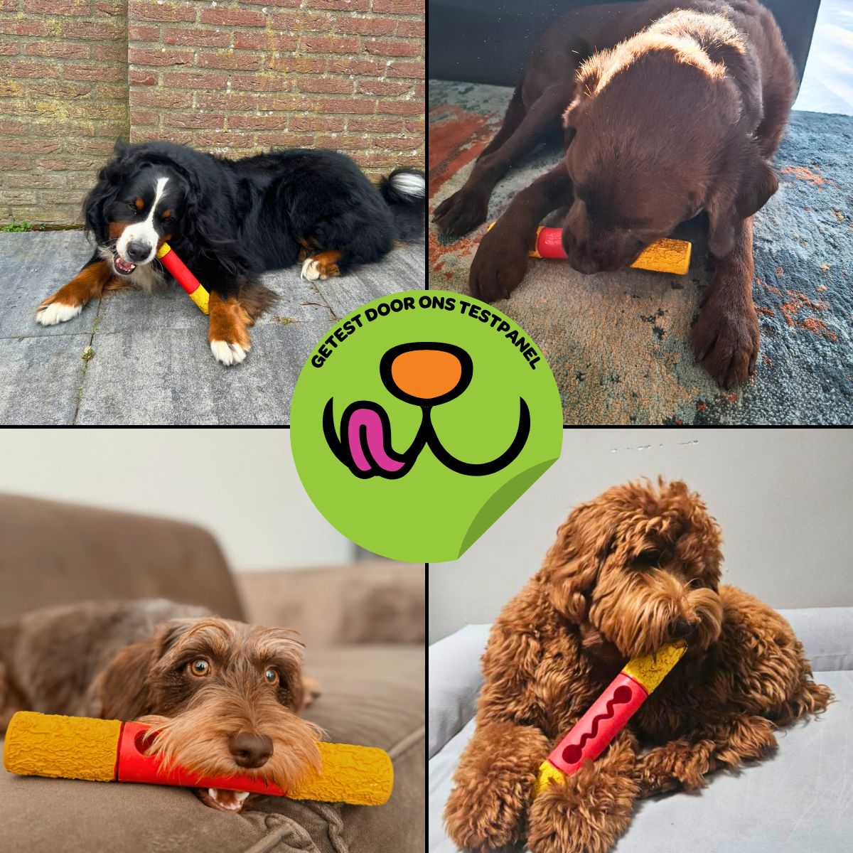 Stokkie de Stuntman - Maat M/L