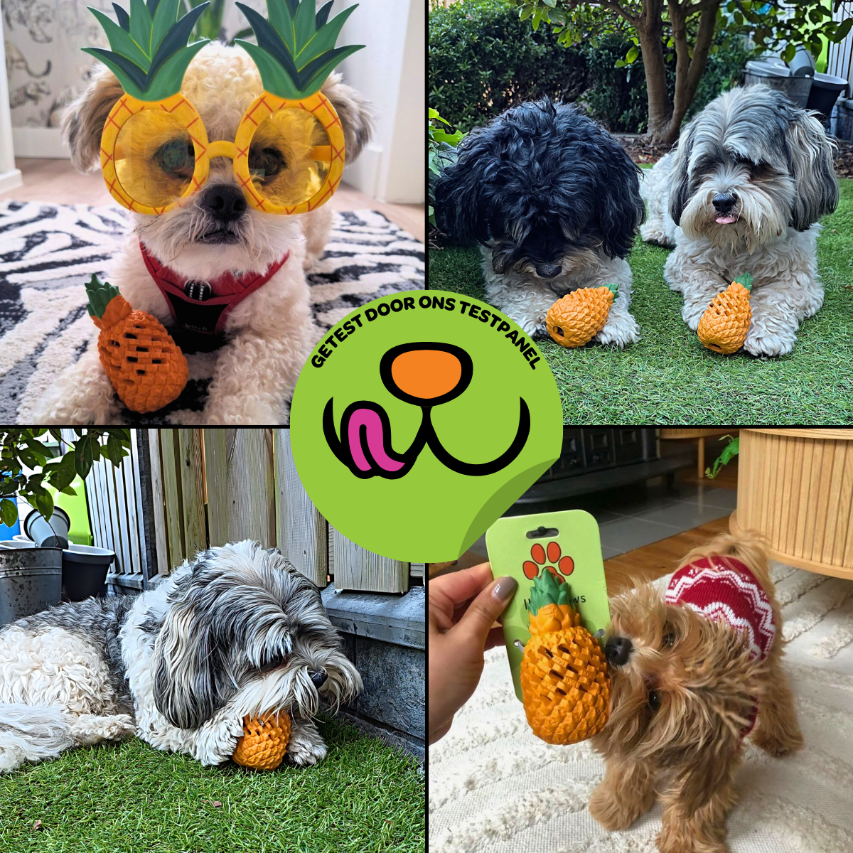 Anna de Ananas - Maat S