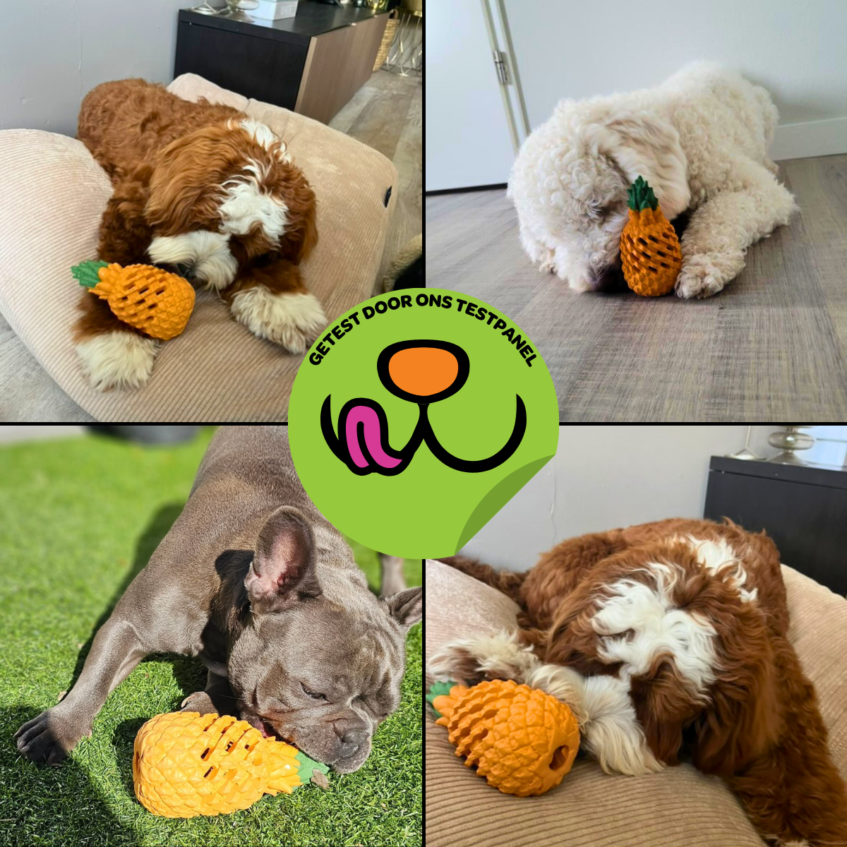 Anna de Ananas - Maat M