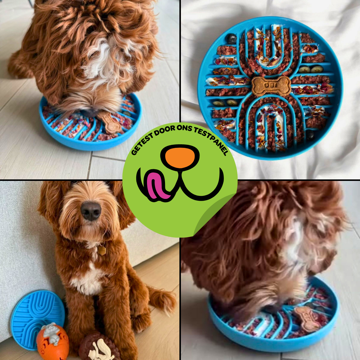 Anti-Schrokbak Dubbele Regenboog