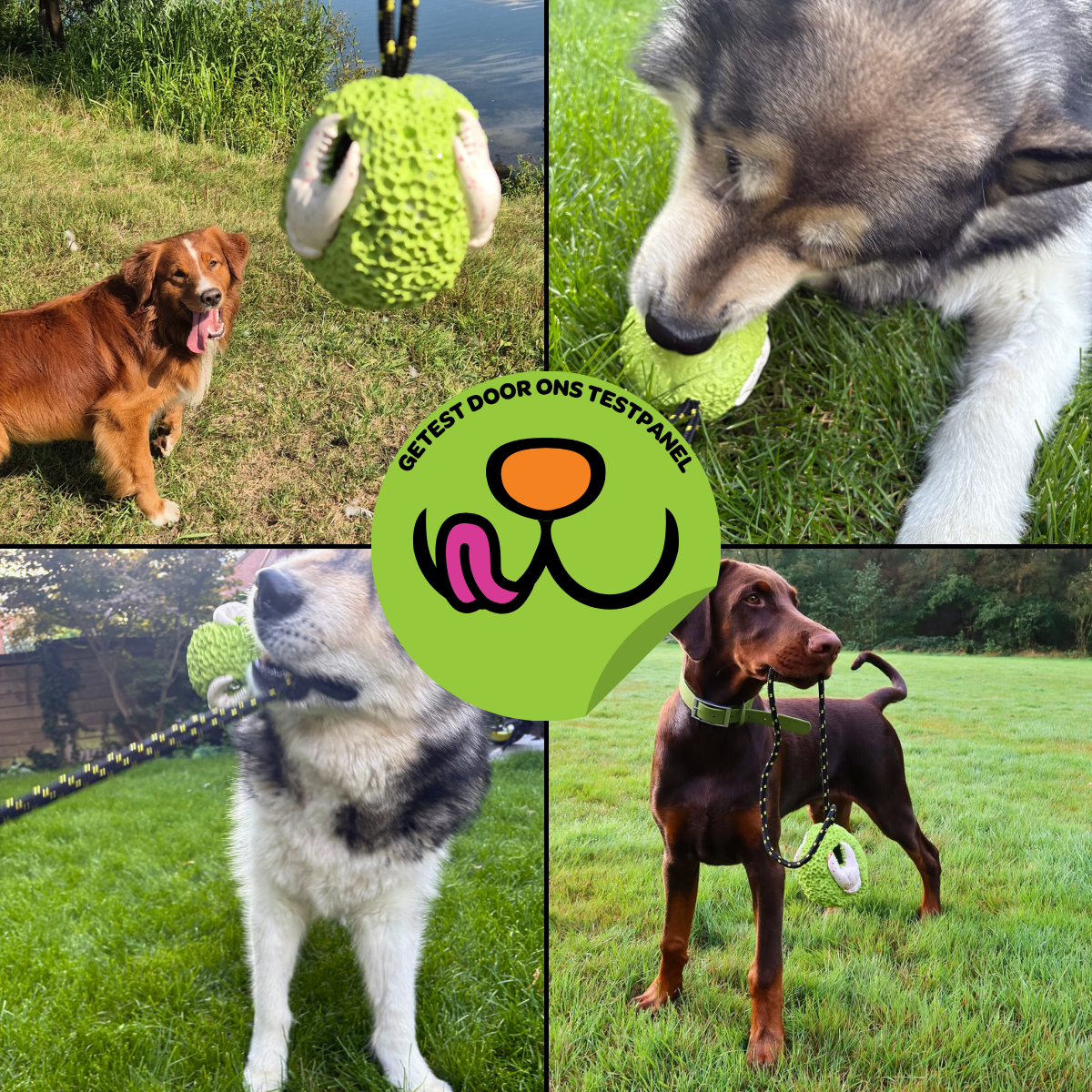 Octo het Koraalmonster - Maat L