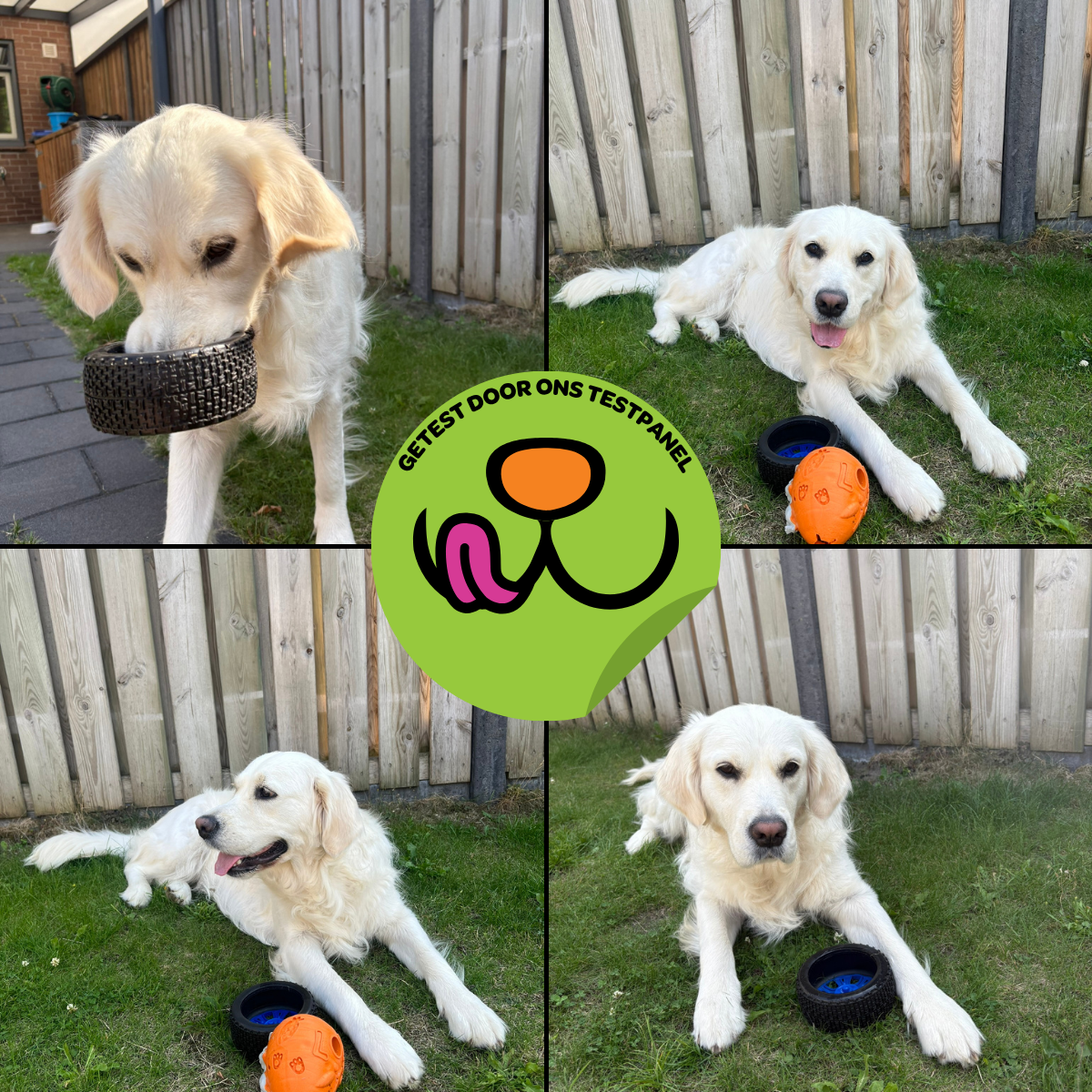 Walter het Wiel - Maat M/L