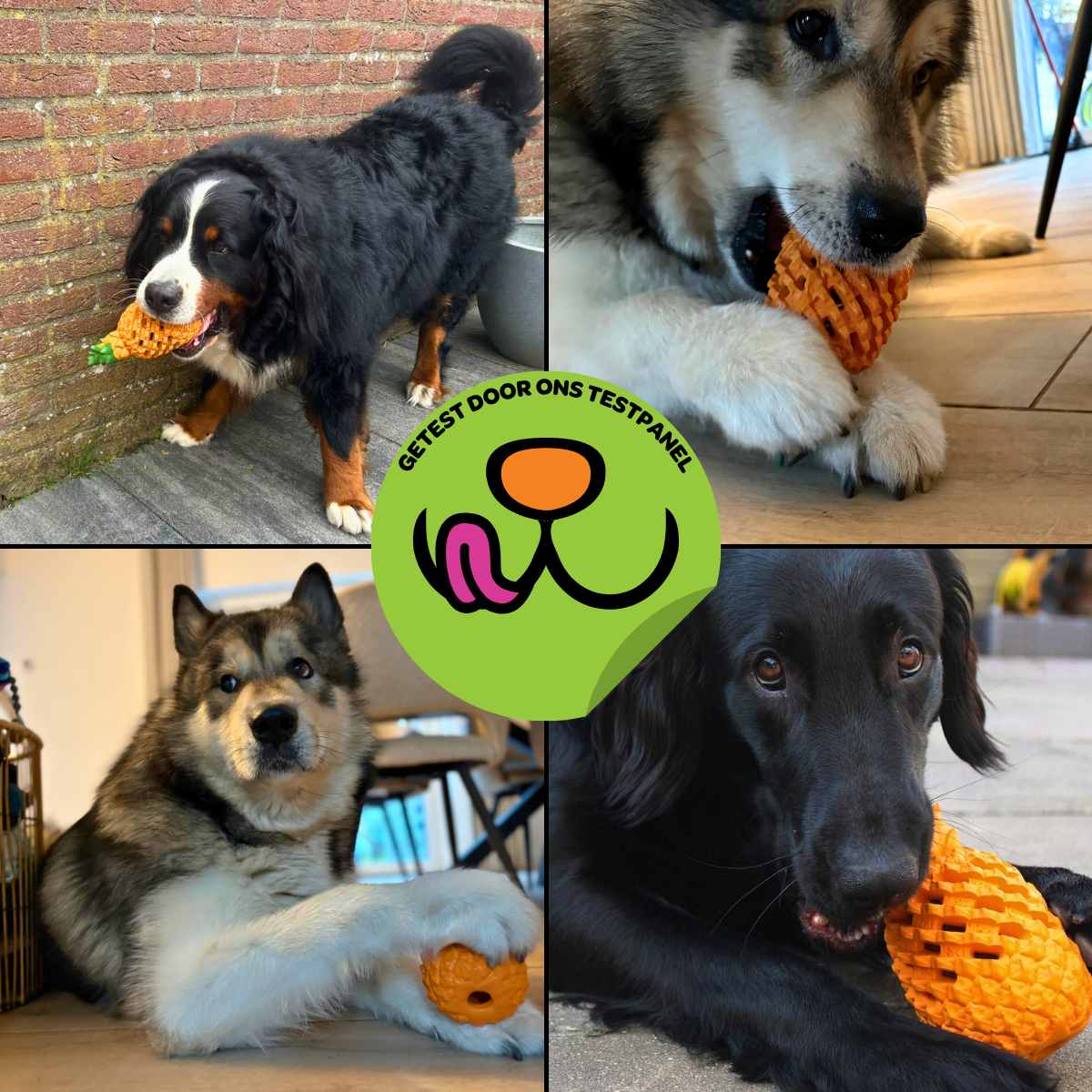 Anna de Ananas - Maat L