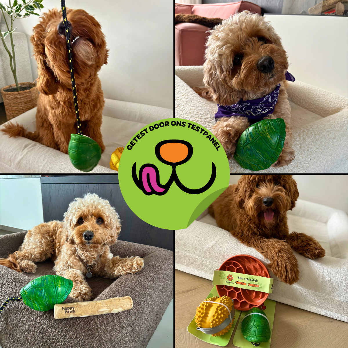 Franklin de Schildpad - Maat M