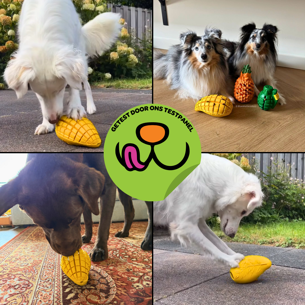 Max de Mango - Maat M/L