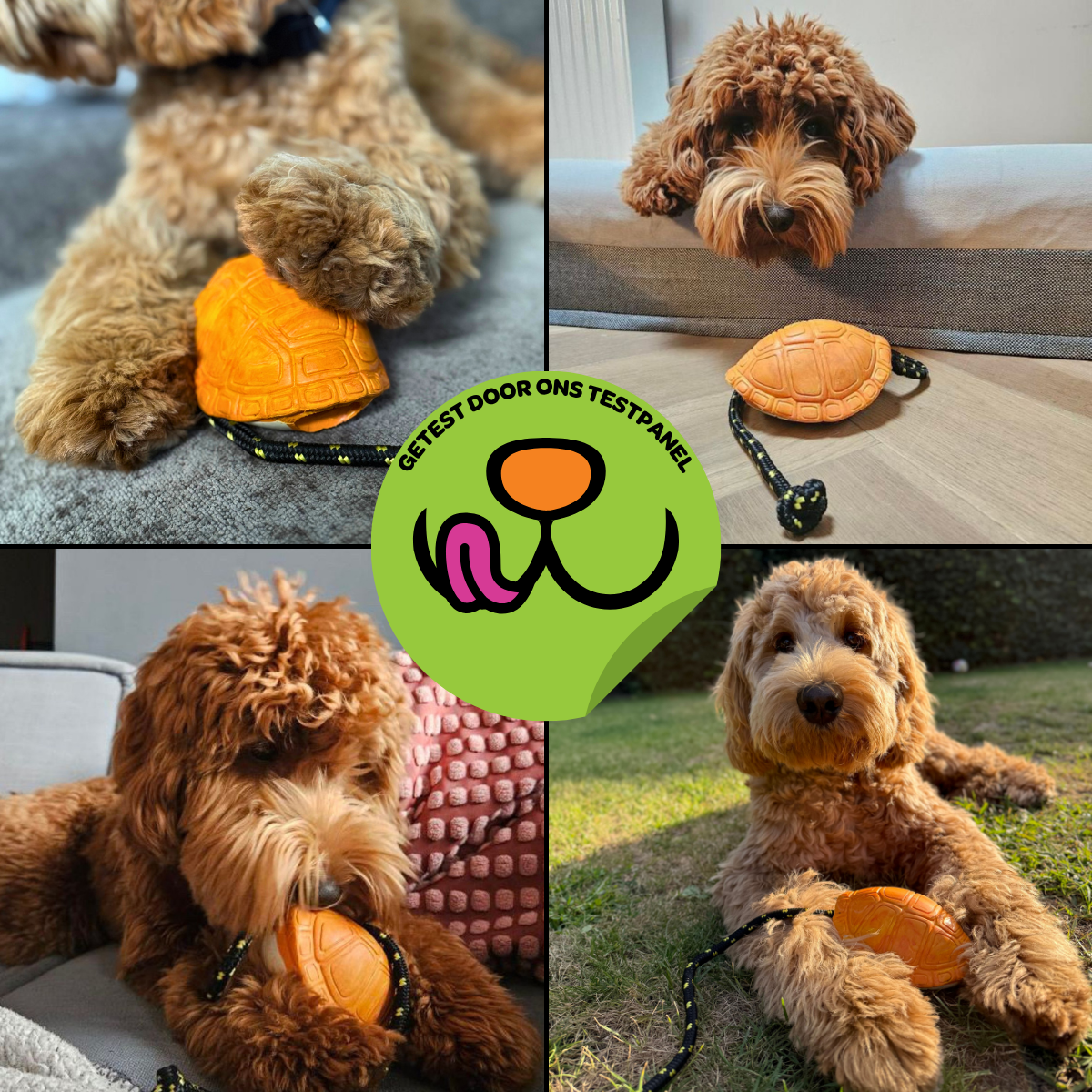 Michelangelo de Schildpad - Maat M